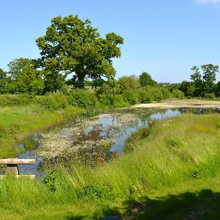 Country house La Chouette Cabane *