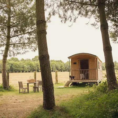 La Chouette Cabane *