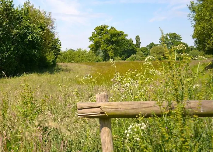 La Chouette Cabane Séjour à la campagne Craon (Mayenne)