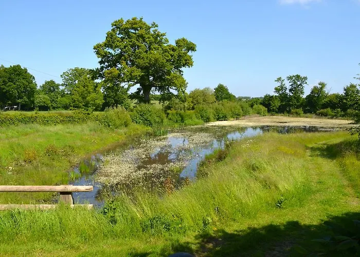 Country house La Chouette Cabane *