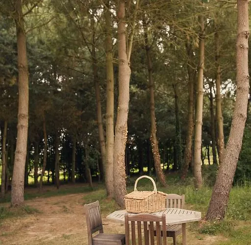 La Chouette Cabane Séjour à la campagne *