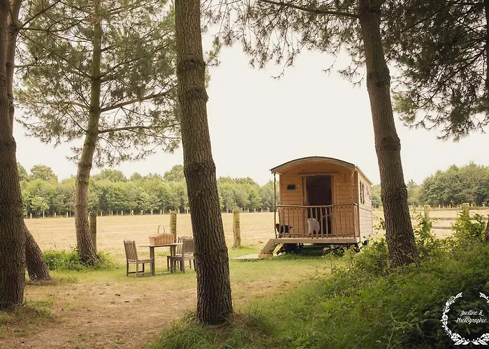 La Chouette Cabane *