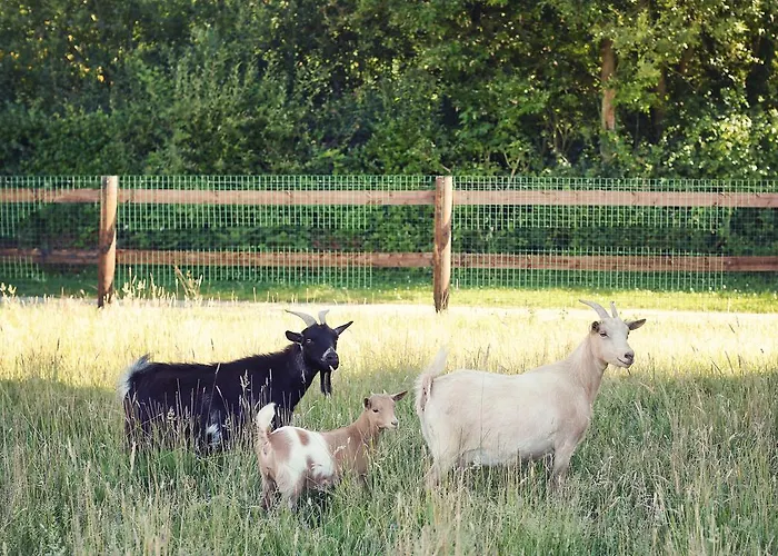 Séjour à la campagne La Chouette Cabane